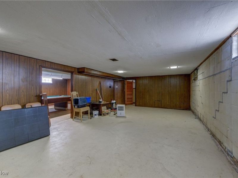 180 N Park Street, Oberlin, OH 44074 Photo 25