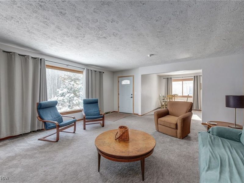 180 N Park Street, Oberlin, OH 44074 Photo 3