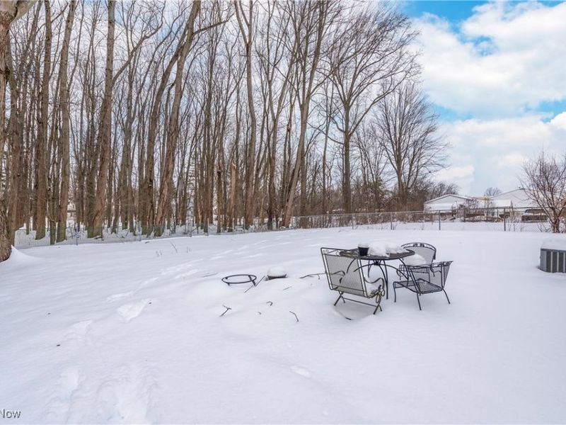 180 N Park Street, Oberlin, OH 44074 Photo 36