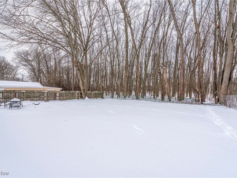 180 N Park Street, Oberlin, OH 44074 Photo 39