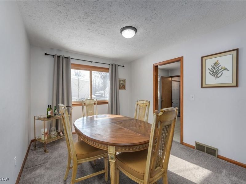 180 N Park Street, Oberlin, OH 44074 Photo 8