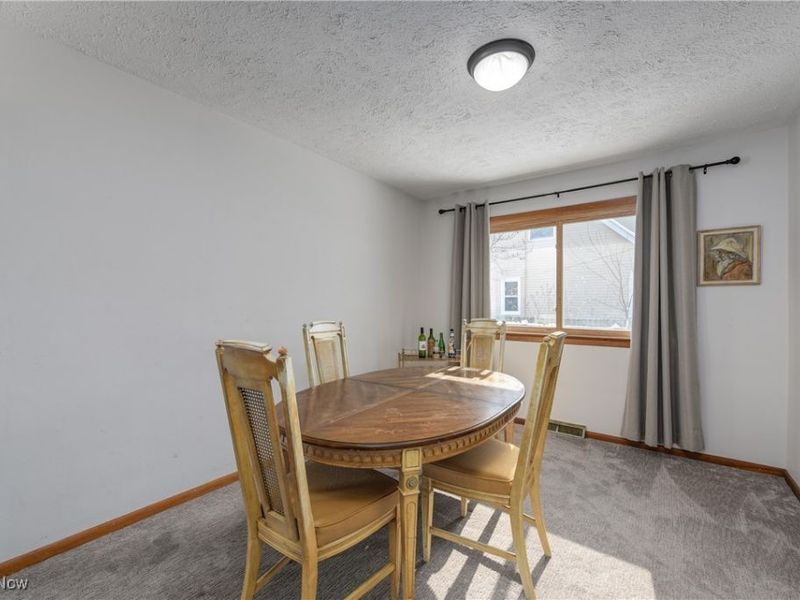 180 N Park Street, Oberlin, OH 44074 Photo 9