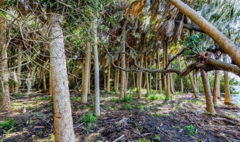 2940 Maritime Lane, Merritt Island, FL 32953 Photo