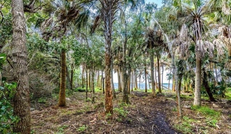 2940 Maritime Lane, Merritt Island, FL 32953 Photo