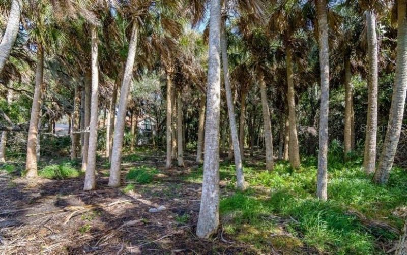 2940 Maritime Lane, Merritt Island, FL 32953 Photo