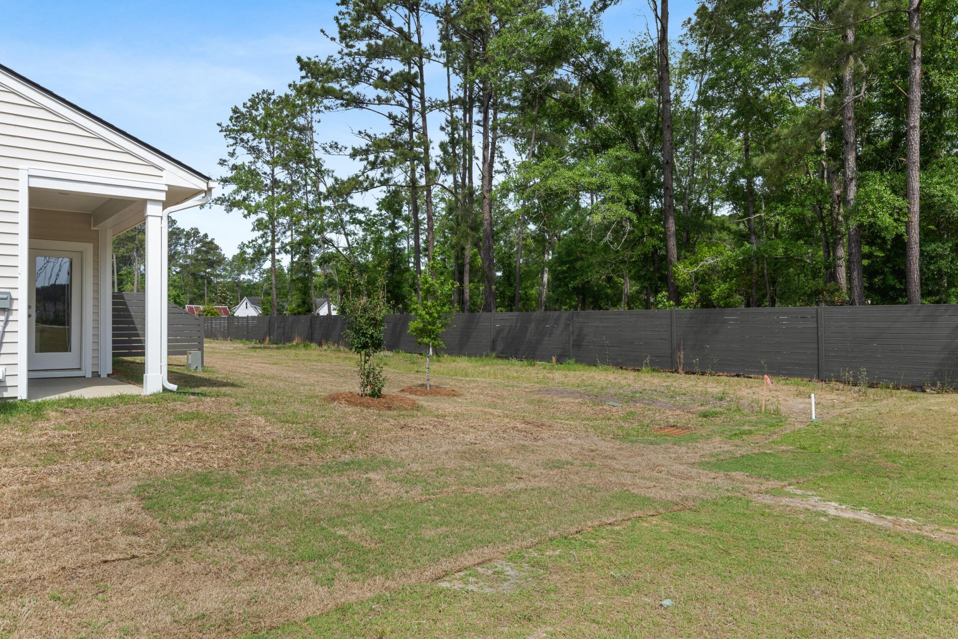 902 Dusk Drive Photo 20