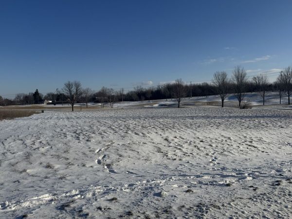 10006 Saint Andrews Drive, Marengo, IL 60152