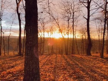 1860 MONROE MOUNTAIN ROAD, CLEARVILLE, PA 15535