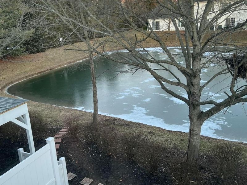 5144 Aquila Drive, Unit C, Canal Winchester, OH 43110 Photo 31