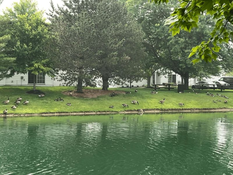 5144 Aquila Drive, Unit C, Canal Winchester, OH 43110 Photo 32