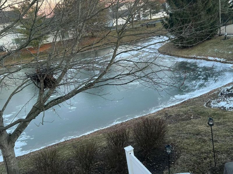 5144 Aquila Drive, Unit C, Canal Winchester, OH 43110 Photo 32