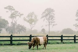 3035 Eventide Drive photo 4