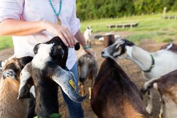 3035 Eventide Drive photo 4