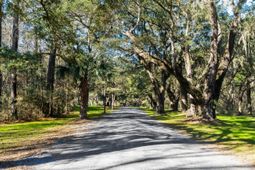 4400 Wando Farms Road photo 4