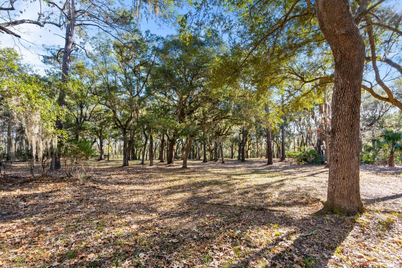 4400 Wando Farms Road Photo 45