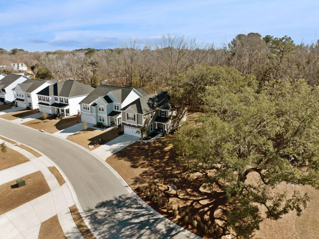 1037 Saltwater Circle Photo 51