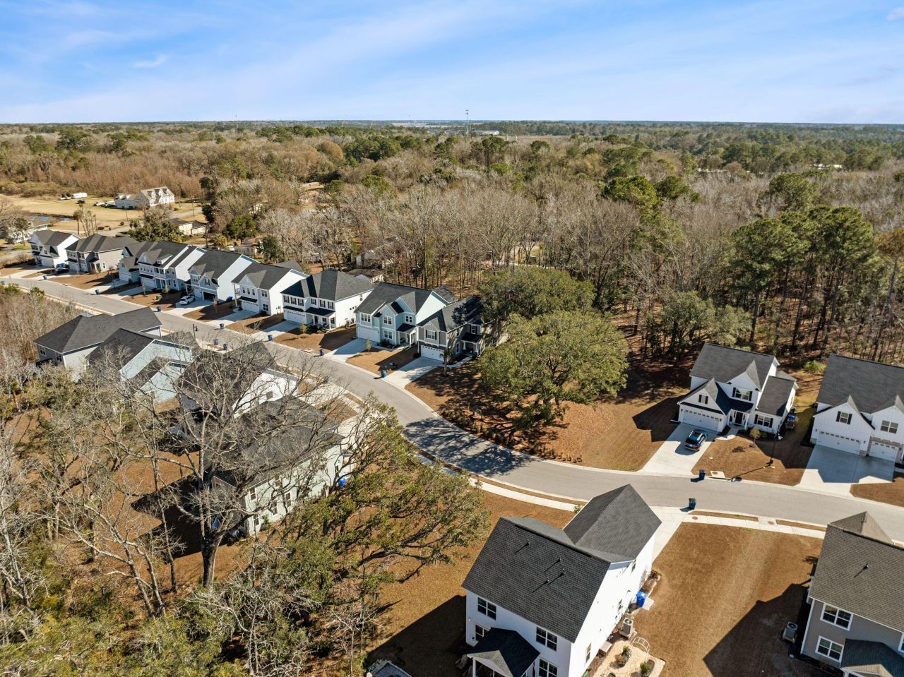 1037 Saltwater Circle Photo 54