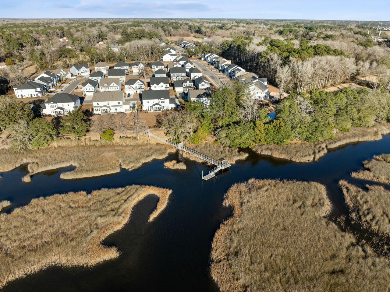 1037 Saltwater Circle Photo 58