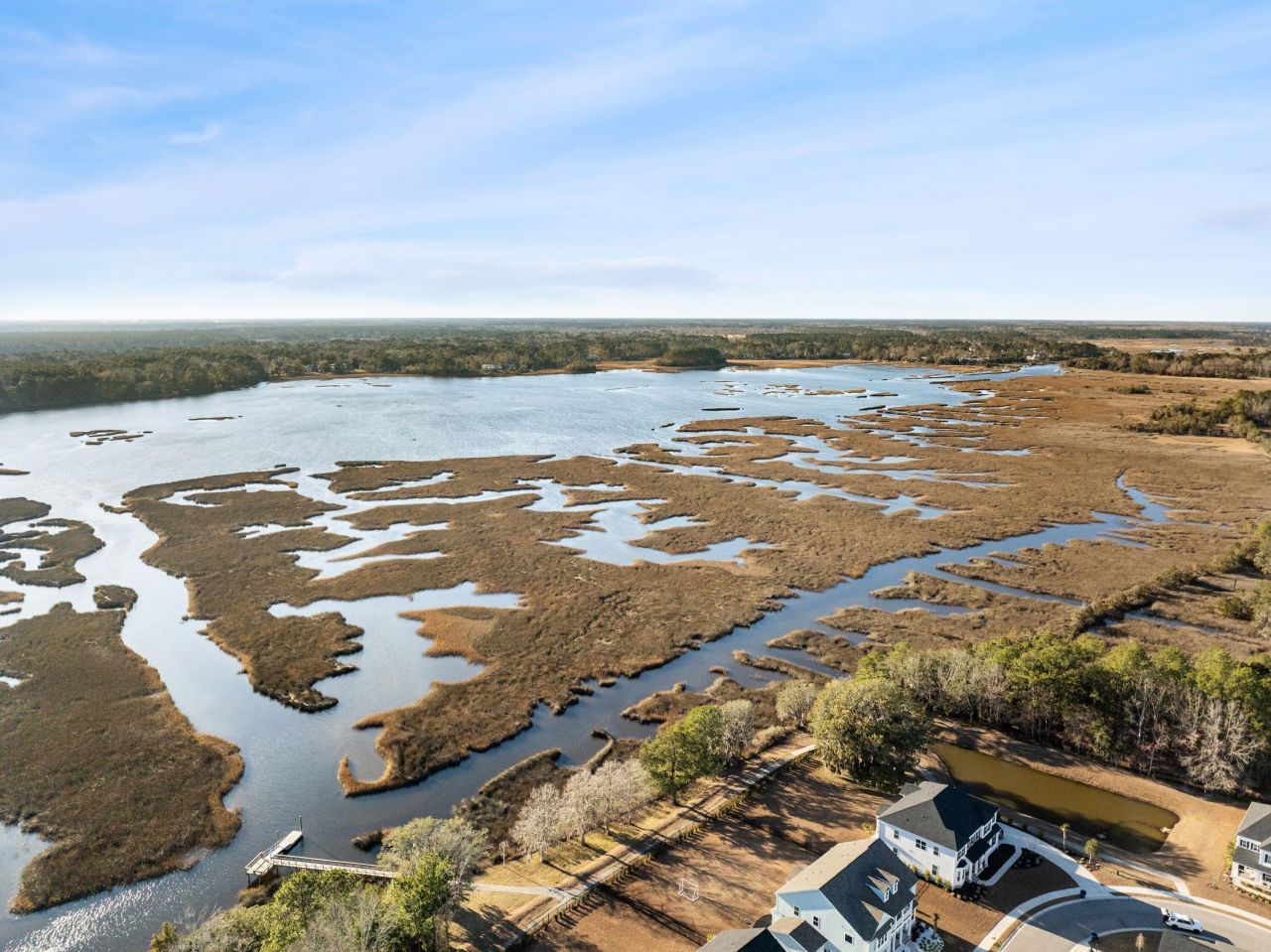 1037 Saltwater Circle Photo 59