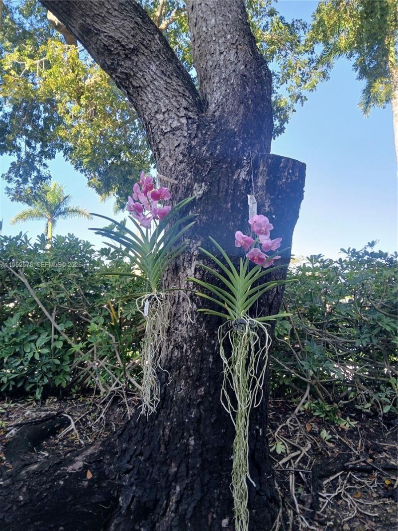 3618 San Simeon Cir, Unit 3618, Weston, FL 33331 Photo