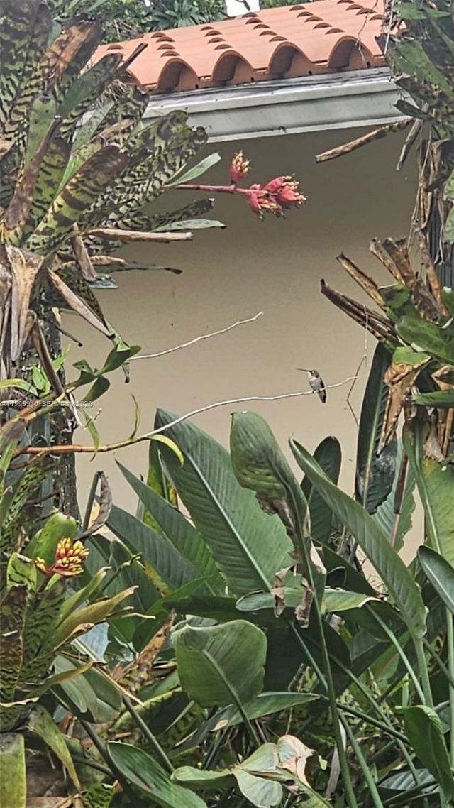 6371 Hutchinson Rd , Miami Lakes, FL 33014 Photo