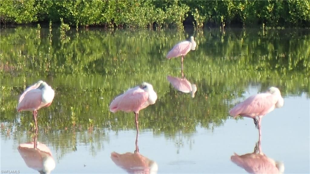 21420 Bay Village Dr, Unit 216, Fort Myers Beach, FL 33931 Photo