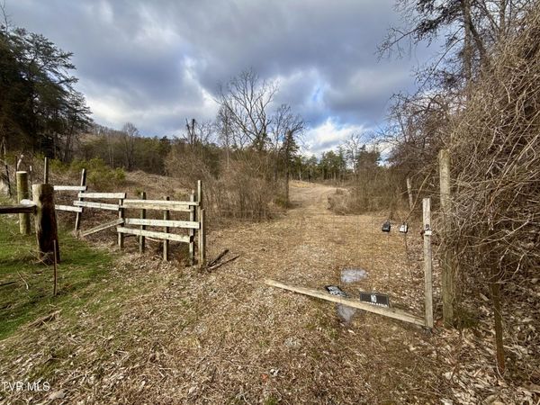 25/Ac Tbd Coy Bradley Lane, Bulls Gap, TN 37711