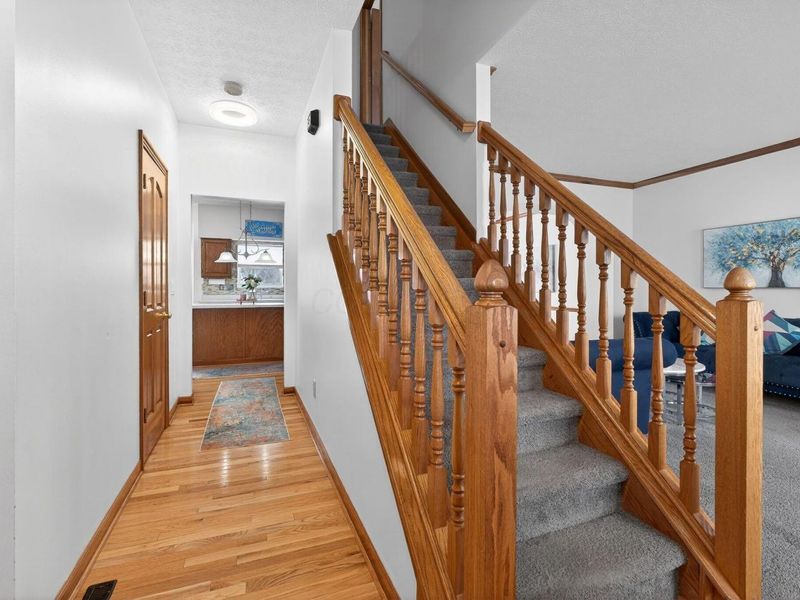 2921 Mondavi Lane, Hilliard, OH 43026 Photo 8