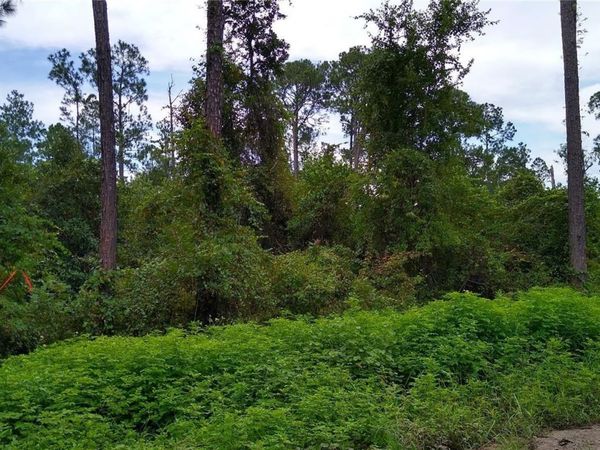 12TH AVENUE, DELAND, FL 32724