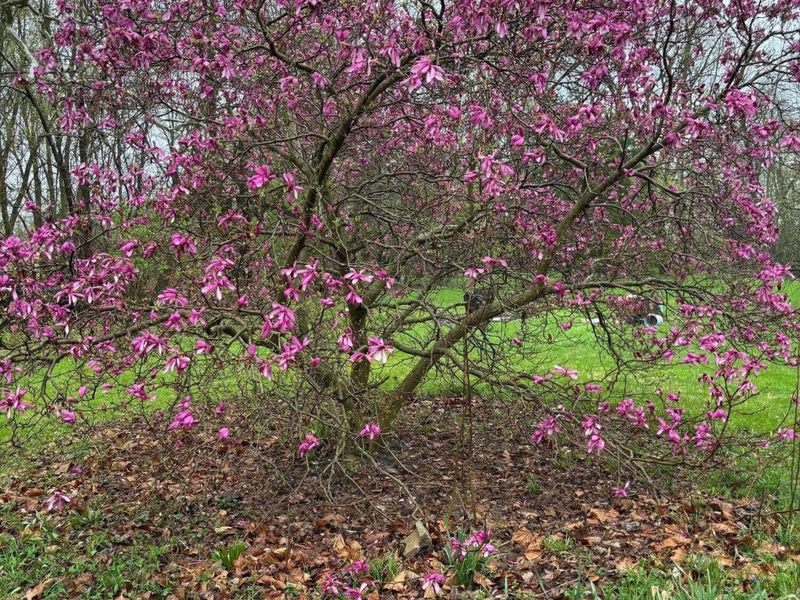 13750 County Road 227, Kenton, OH 43326 Photo 20