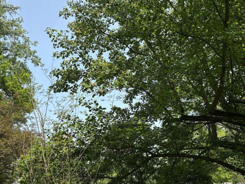 13750 County Road 227, Kenton, OH 43326 Photo 21