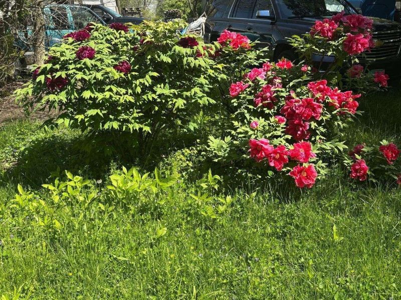 13750 County Road 227, Kenton, OH 43326 Photo 22