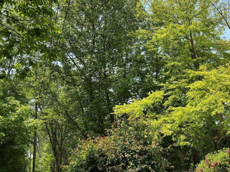 13750 County Road 227, Kenton, OH 43326 Photo 23