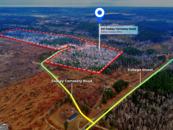 241 Foskey Cemetary Road, Adrian, GA 31002