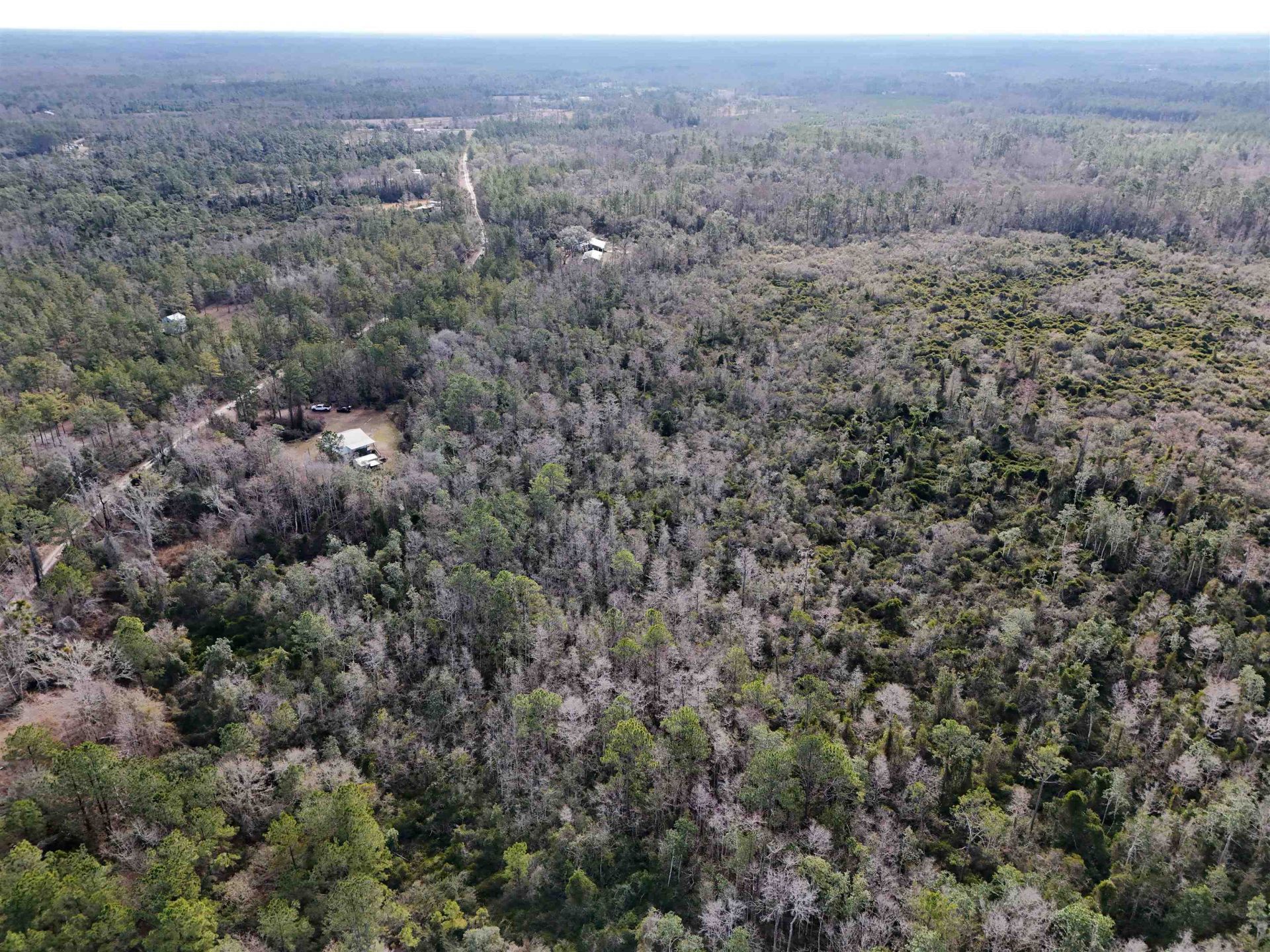 777 SW Wacissa Terrace, Greenville, FL 32331 Photo