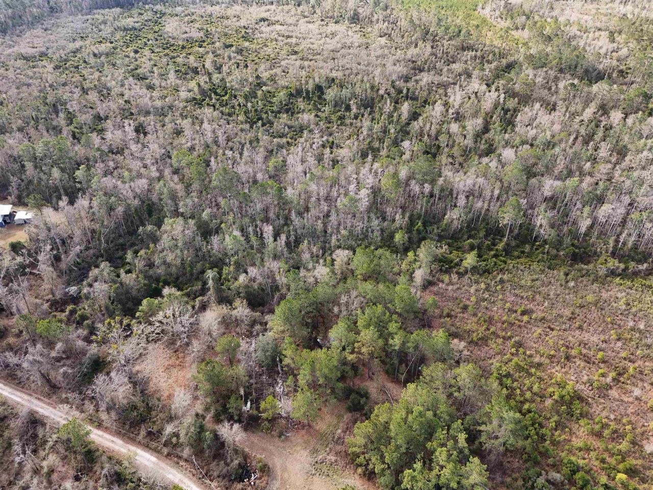 777 SW Wacissa Terrace, Greenville, FL 32331 Photo