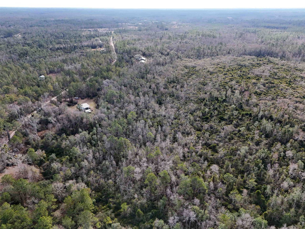 777 SW Wacissa Terrace, Greenville, FL 32331 Photo