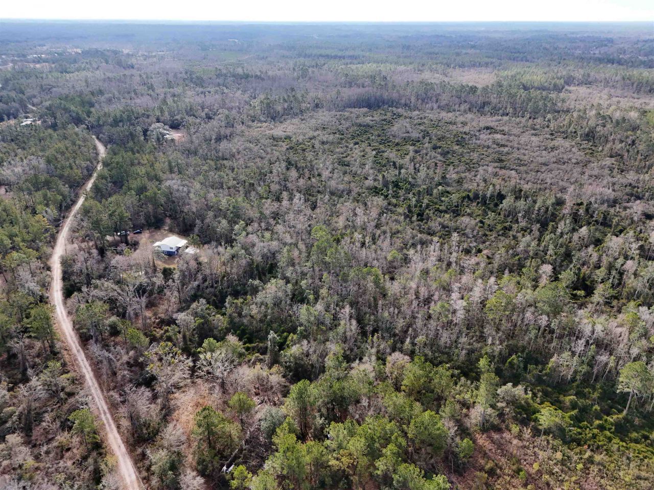 777 SW Wacissa Terrace, Greenville, FL 32331 Photo