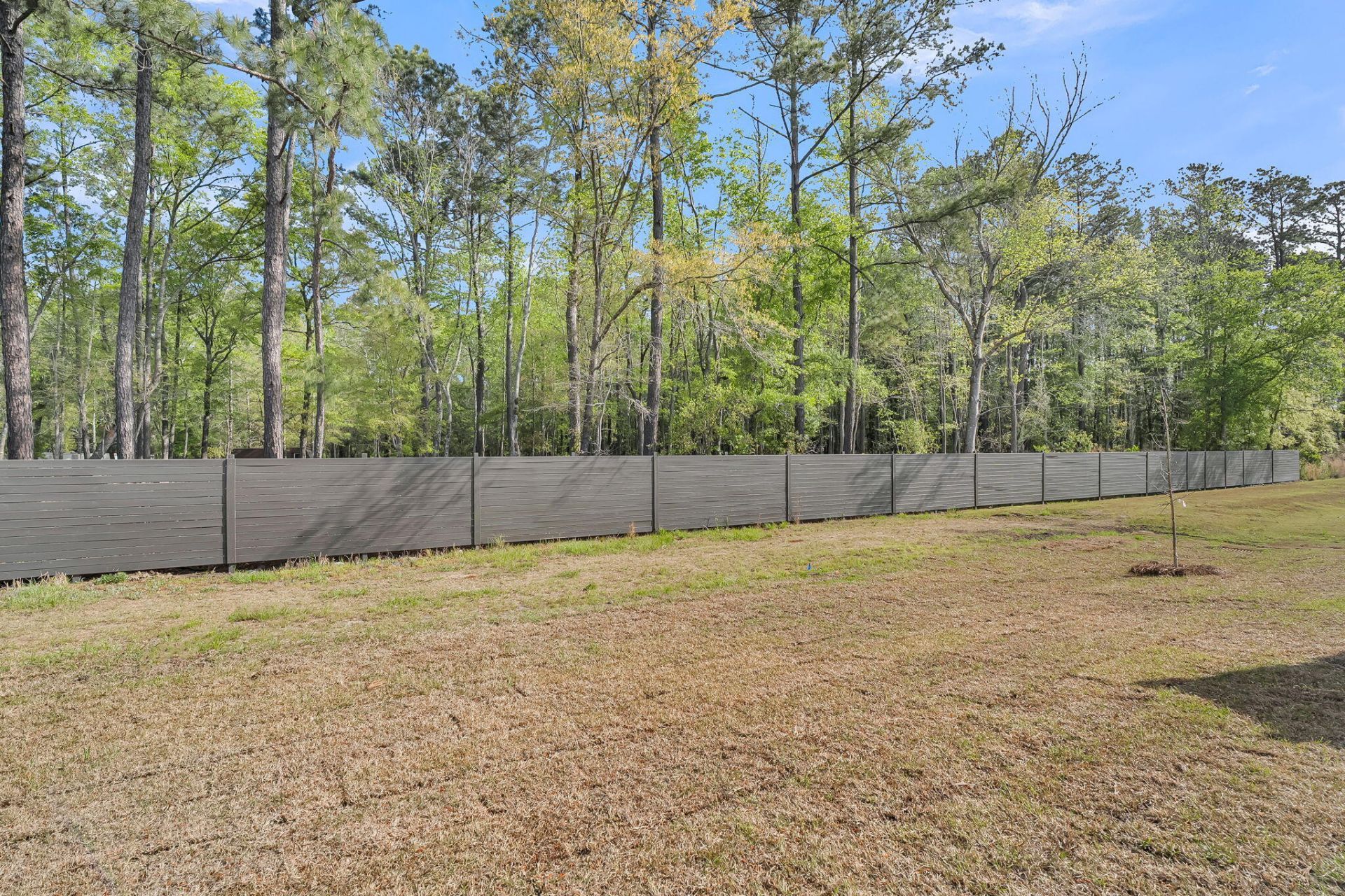 904 Dusk Drive Photo 19