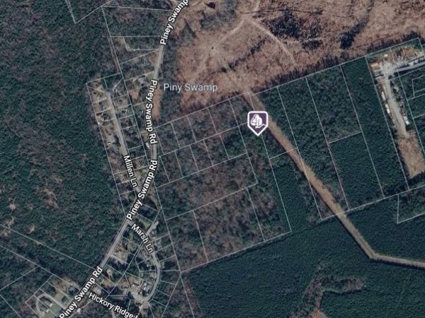 0 Piney Swamp Road , Hayes, VA 23072