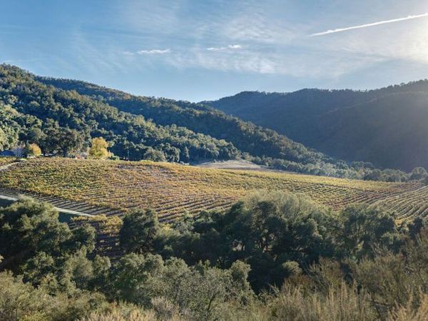 20300 Cachagua Road, Carmel Valley, CA 93924