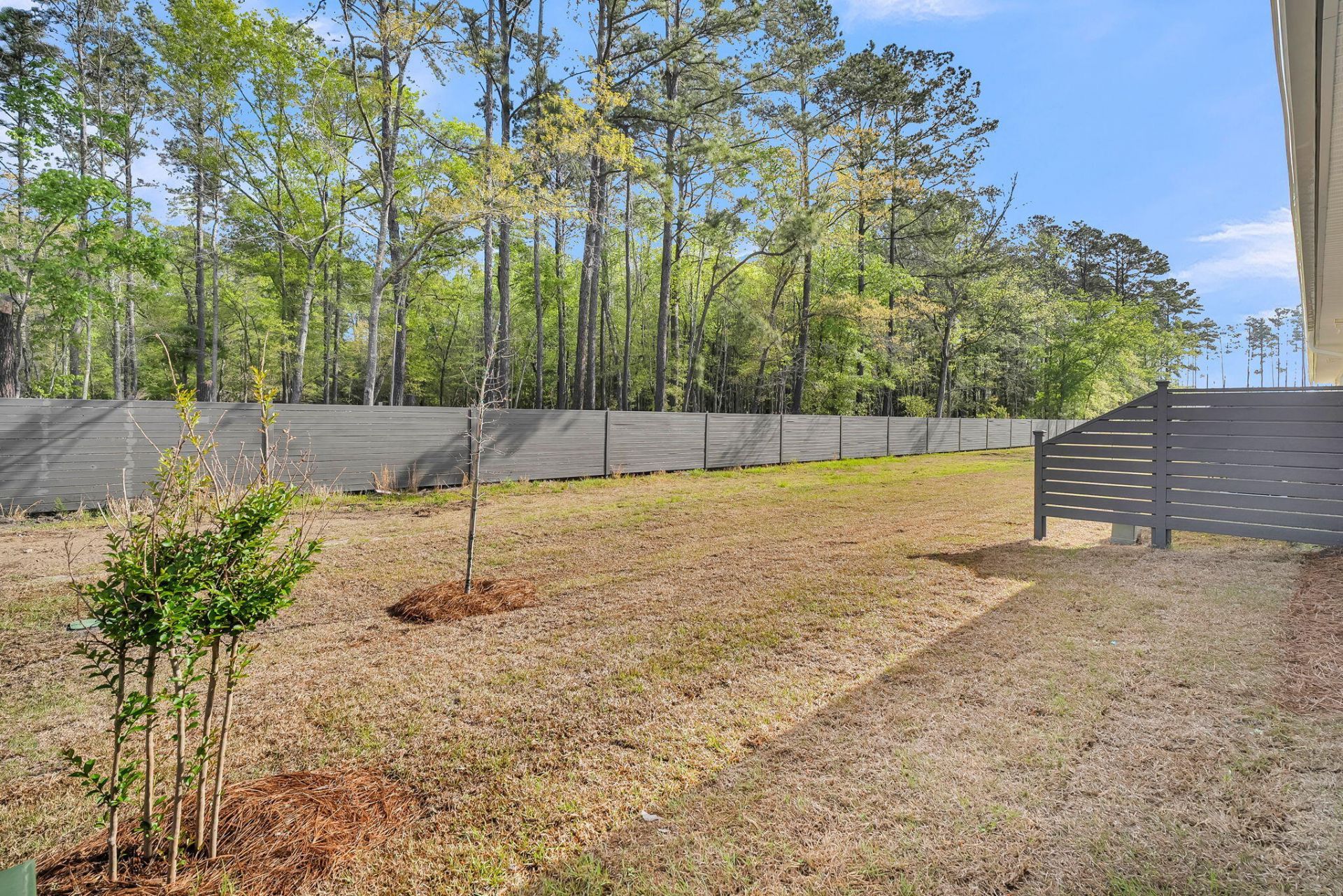 908 Dusk Drive Photo 15