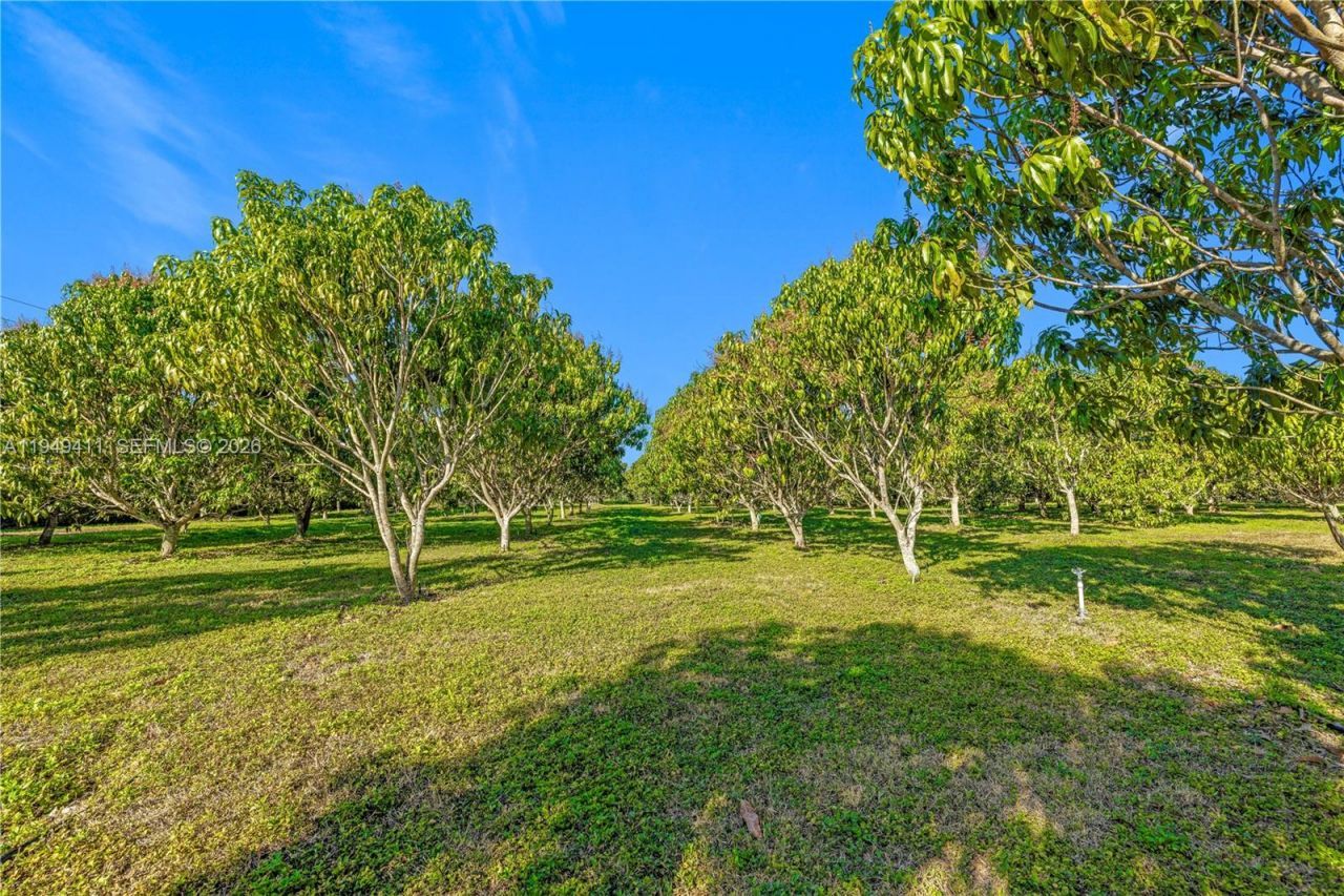 27950 SW 182nd Ave, Homestead, FL 33031 Photo