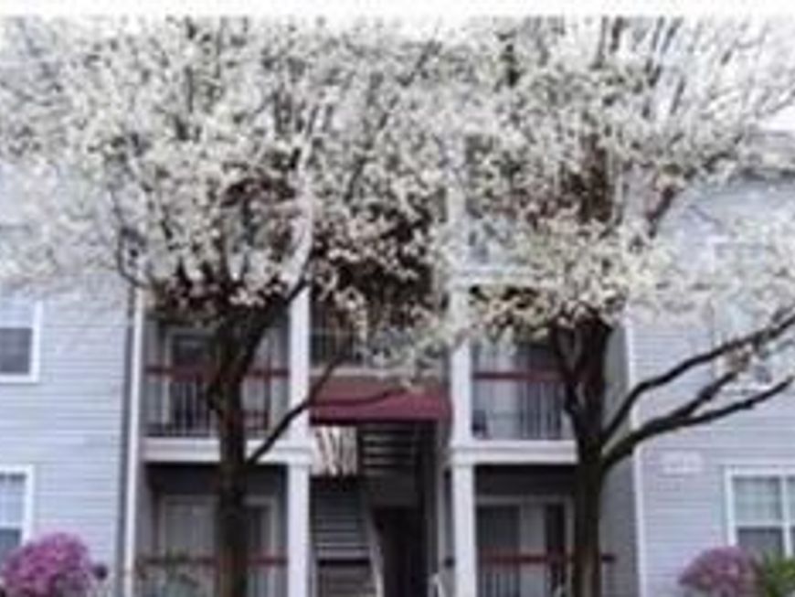 18535 Boysenberry Drive, Unit 220, Gaithersburg, MD 20879 Main Photo
