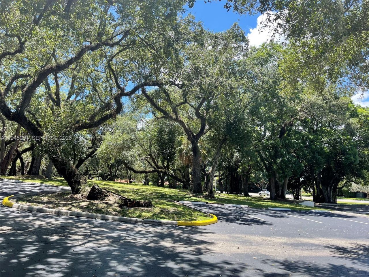 1831 Sabal Palm Dr , Unit 403, Davie, FL 33324 Photo