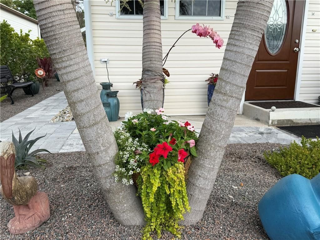 20291 Cumberland Ct, Estero, FL 33928 Photo