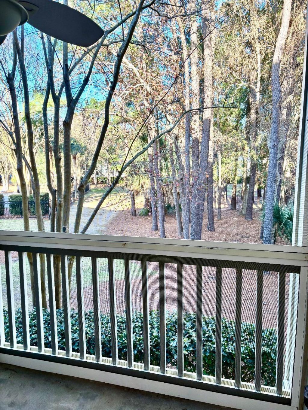 1600 Long Grove Drive Photo 6