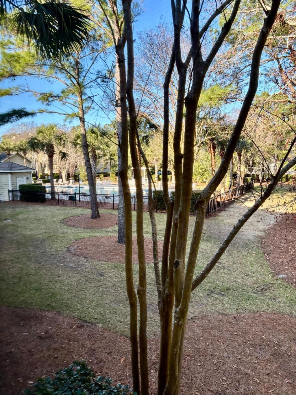 1600 Long Grove Drive Photo 7