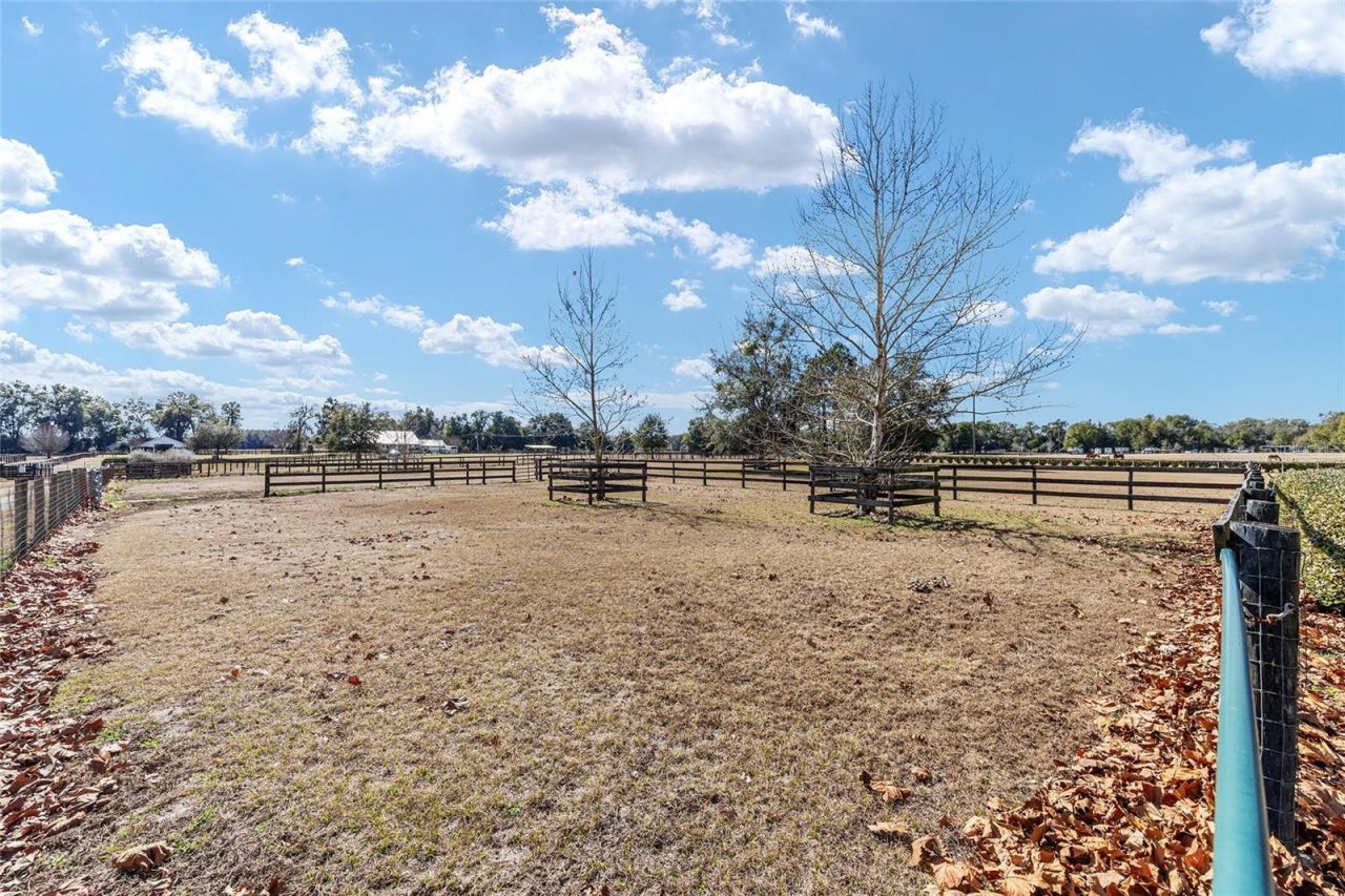 1120 E Hwy 316 Road, Citra, FL 32113 Photo