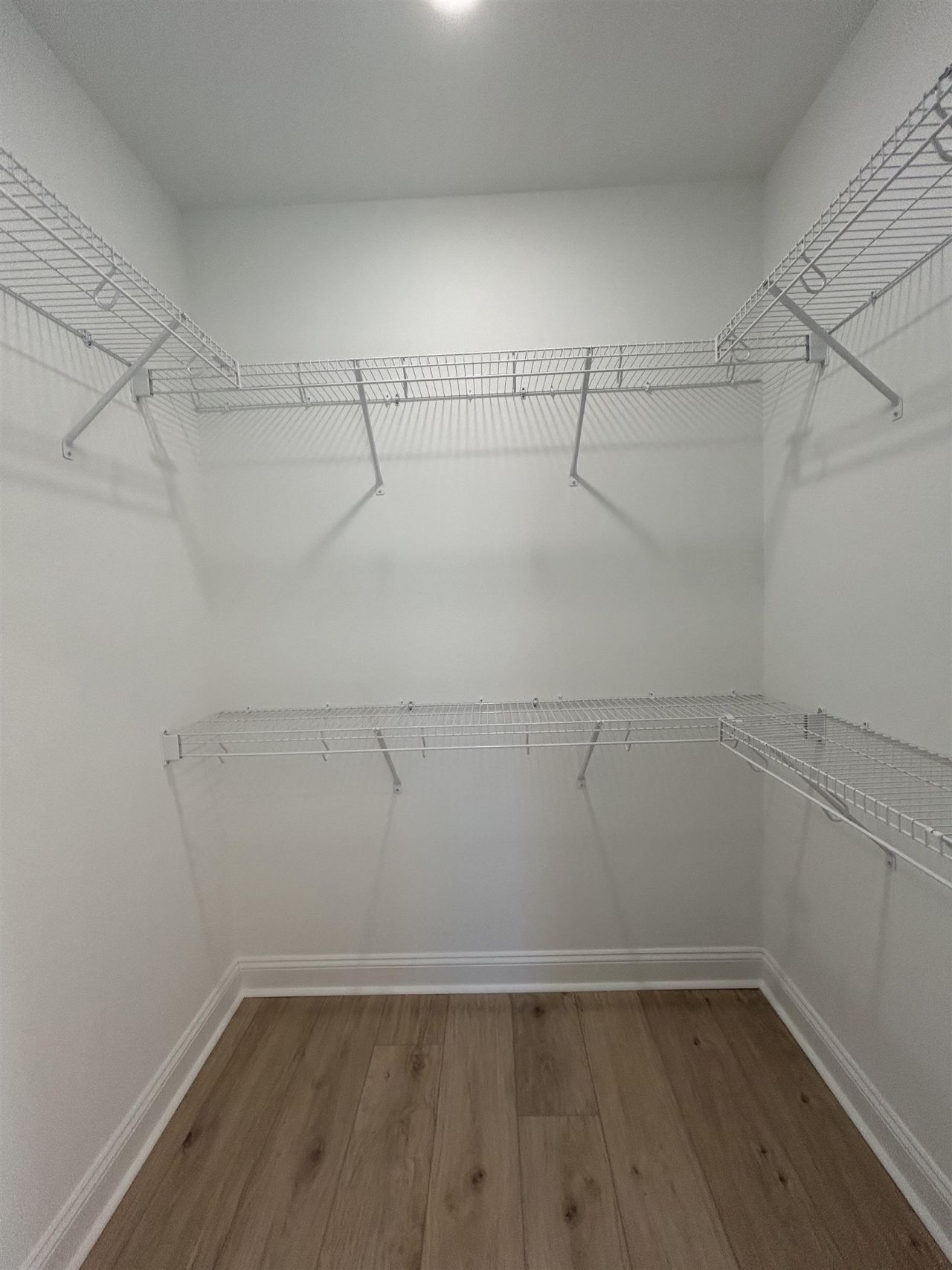 616 Carter Reid Ct. Photo 20